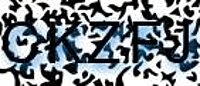 grafischer Sicherheitscode